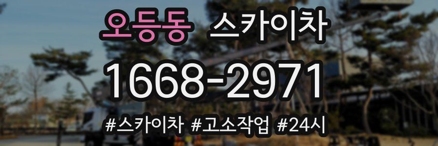 오등동 스카이차