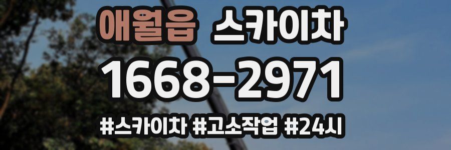 애월읍 스카이차