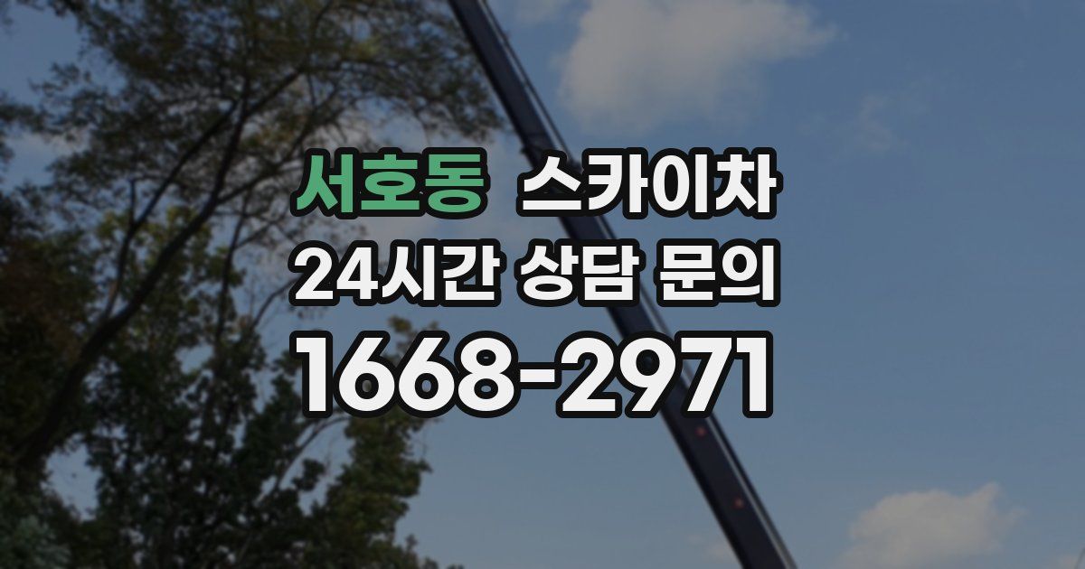 서호동 스카이차