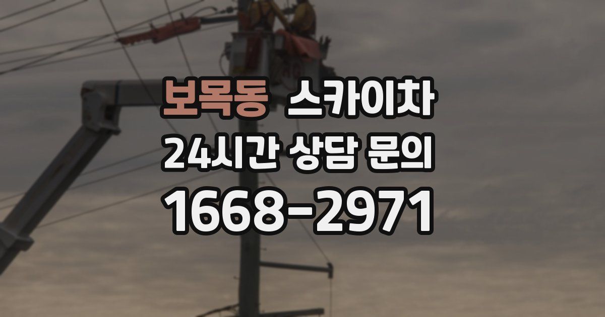 보목동 스카이차