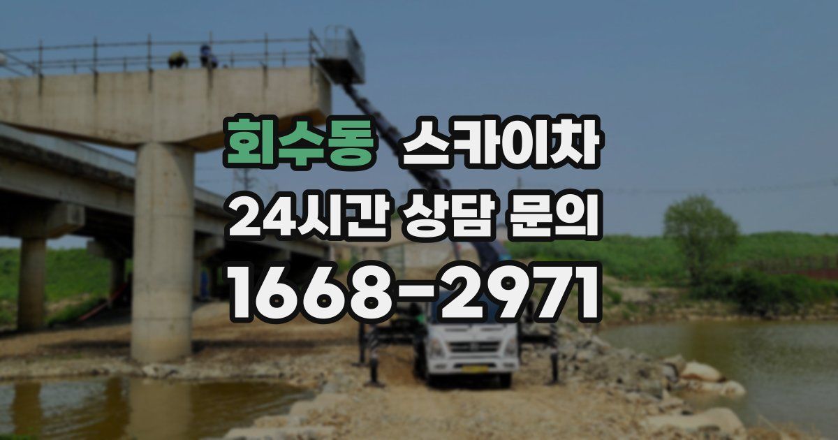 회수동 스카이차
