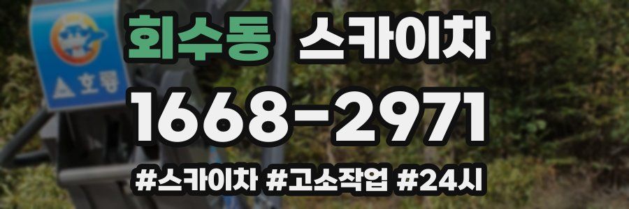 회수동 스카이차