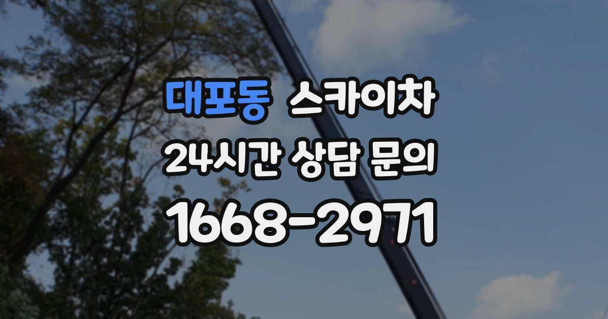 대포동 스카이차