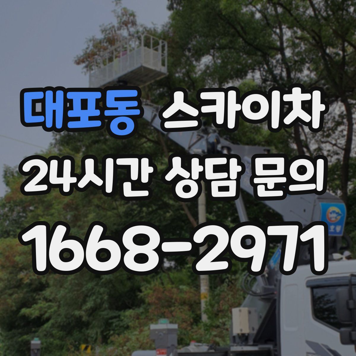 대포동 스카이차