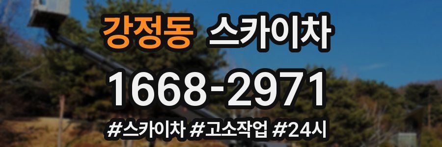 강정동 스카이차