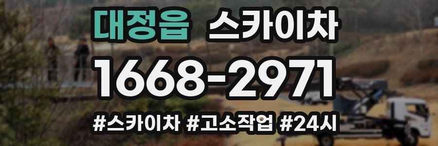 대정읍 스카이차