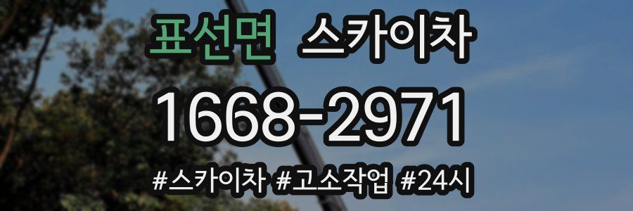 표선면 스카이차