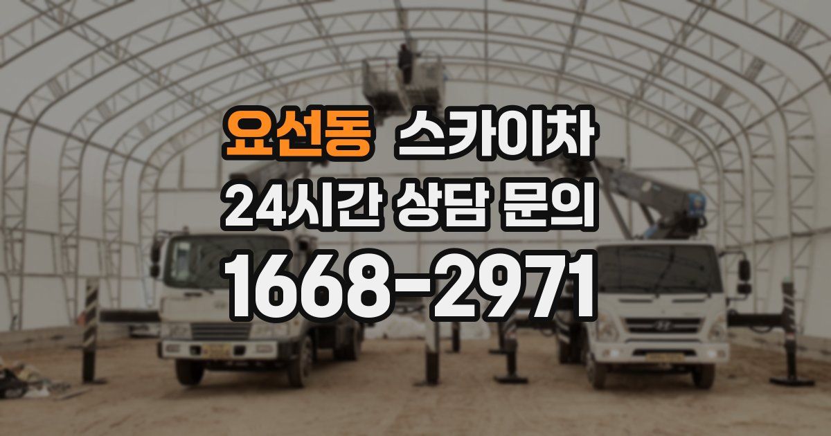 요선동 스카이차