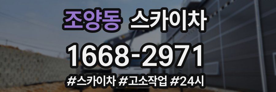 조양동 스카이차