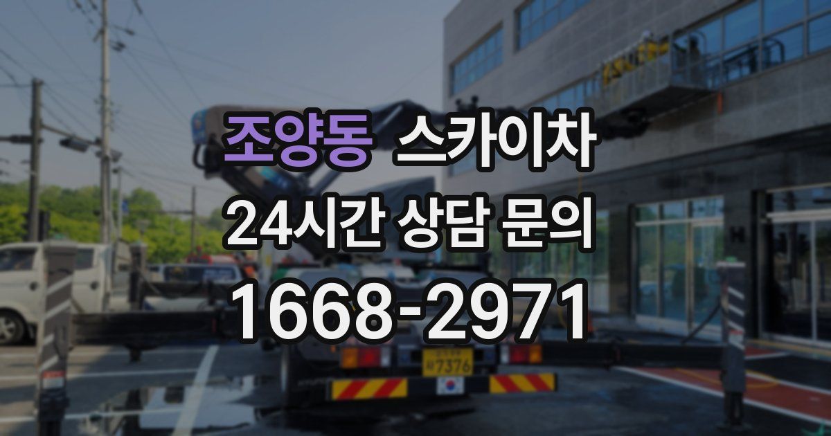 조양동 스카이차