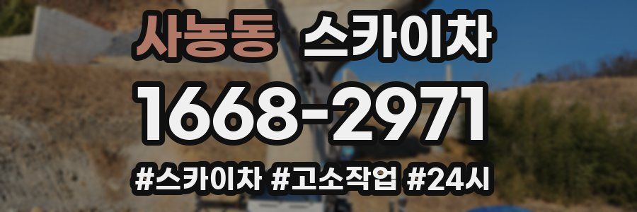 사농동 스카이차