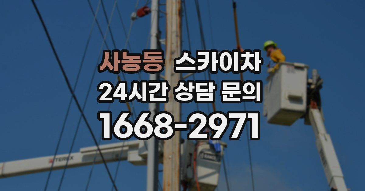 사농동 스카이차