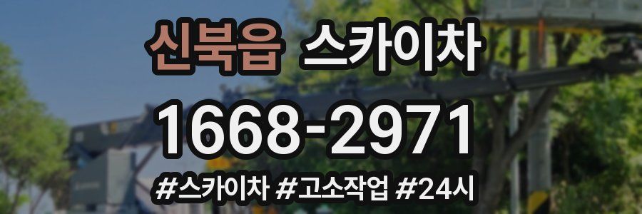 신북읍 스카이차