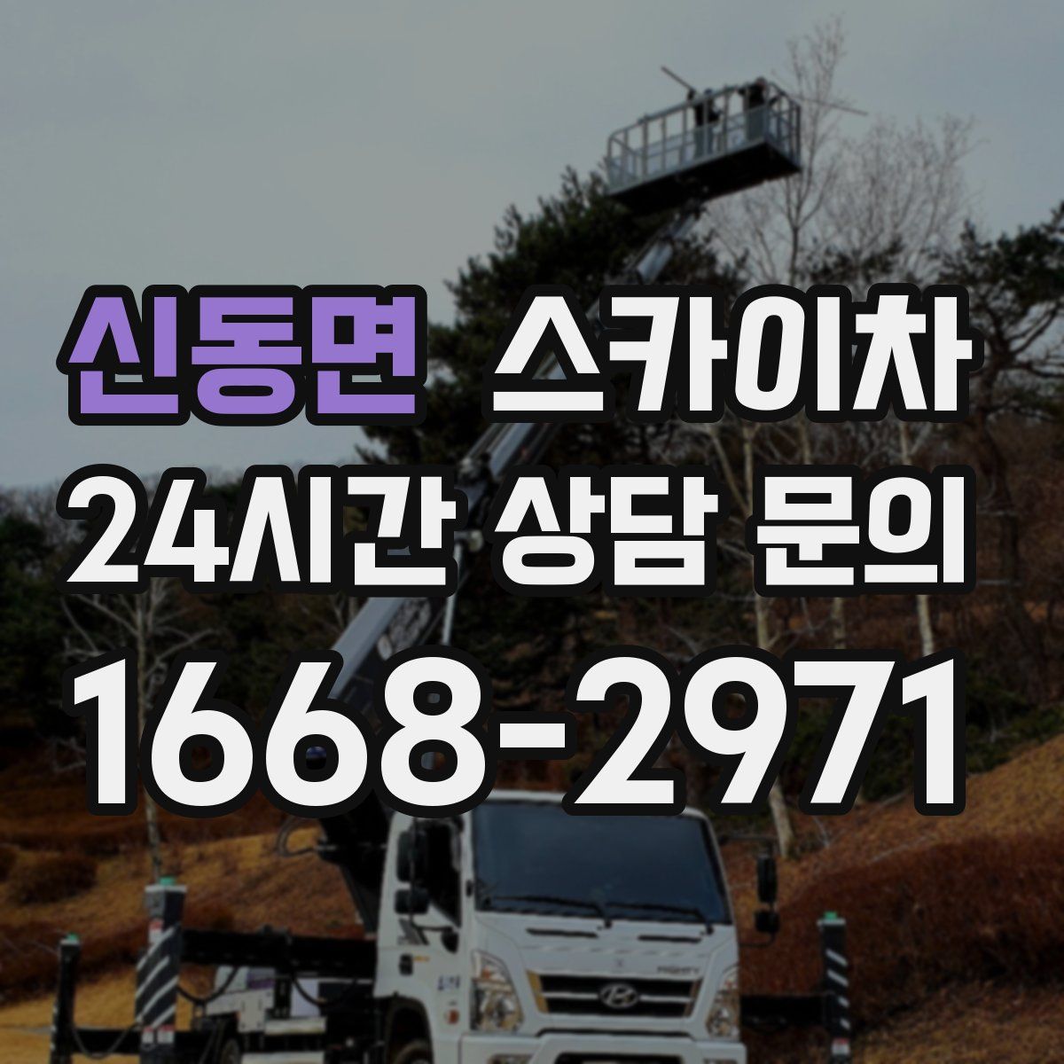 신동면 스카이차