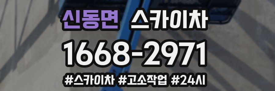 신동면 스카이차