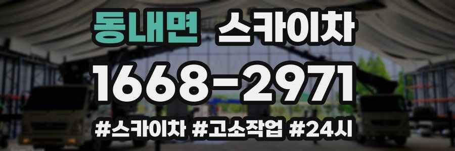 동내면 스카이차