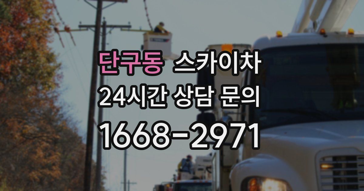 단구동 스카이차