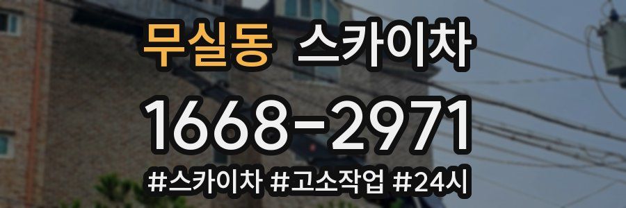 무실동 스카이차