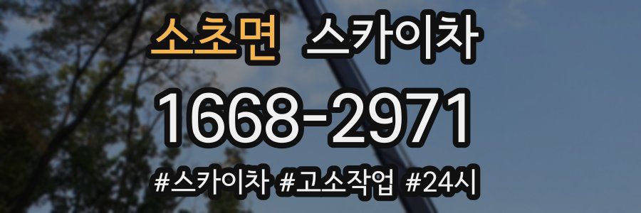 소초면 스카이차