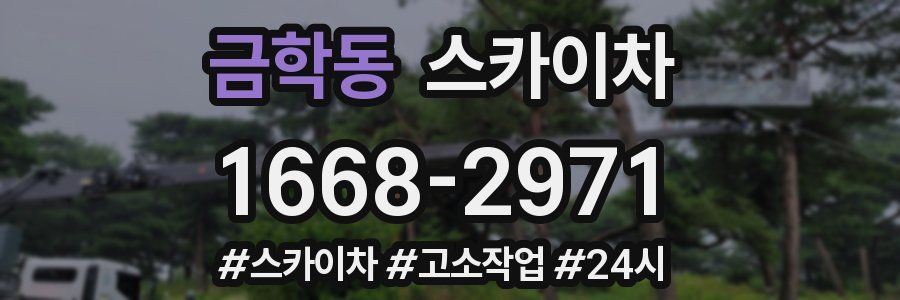 금학동 스카이차