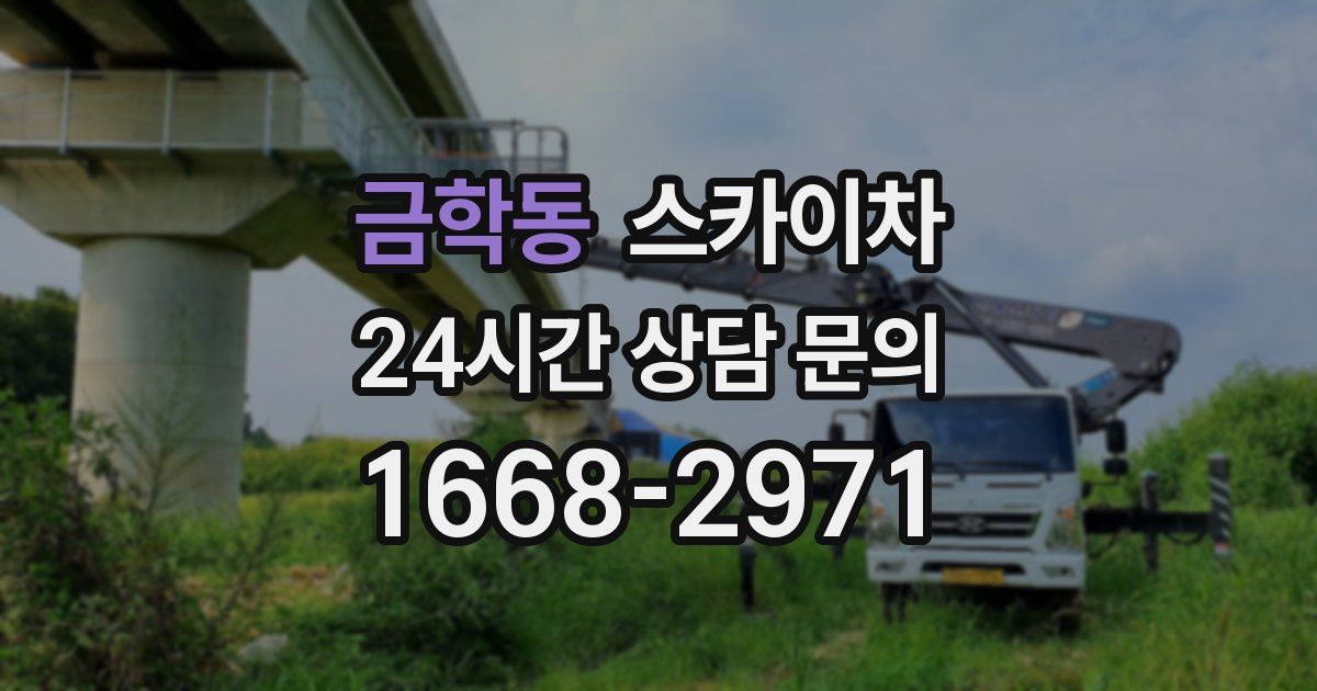 금학동 스카이차