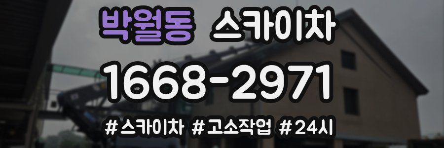 박월동 스카이차