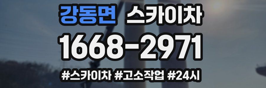 강동면 스카이차