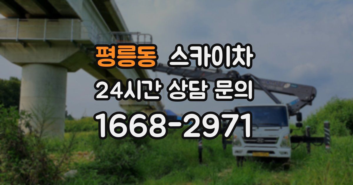 평릉동 스카이차