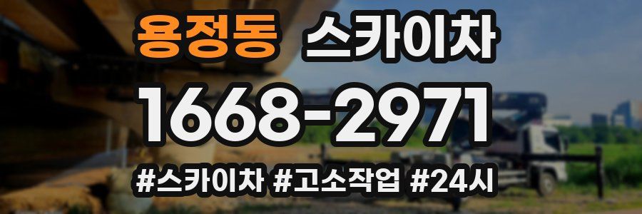 용정동 스카이차