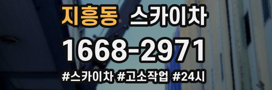 지흥동 스카이차