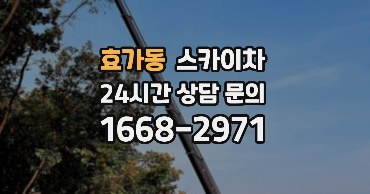 효가동 스카이차