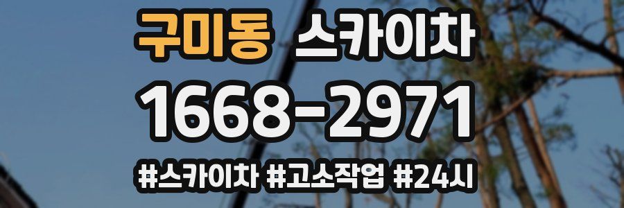 구미동 스카이차