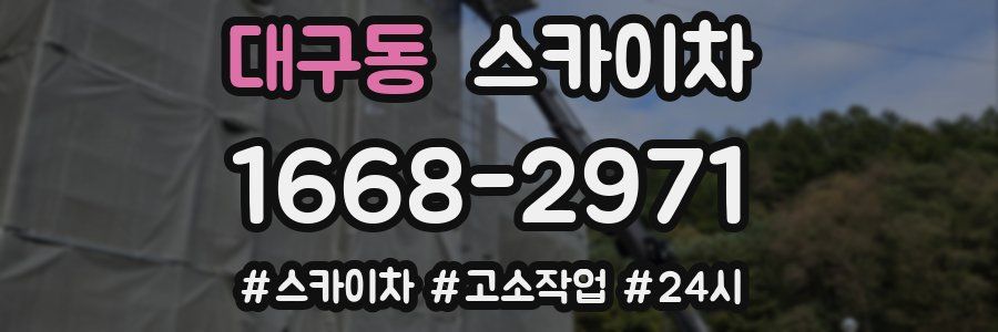 대구동 스카이차