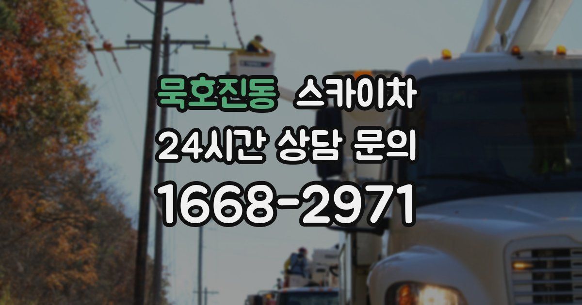 묵호진동 스카이차