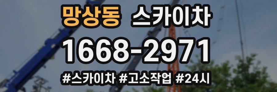 망상동 스카이차