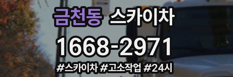 금천동 스카이차