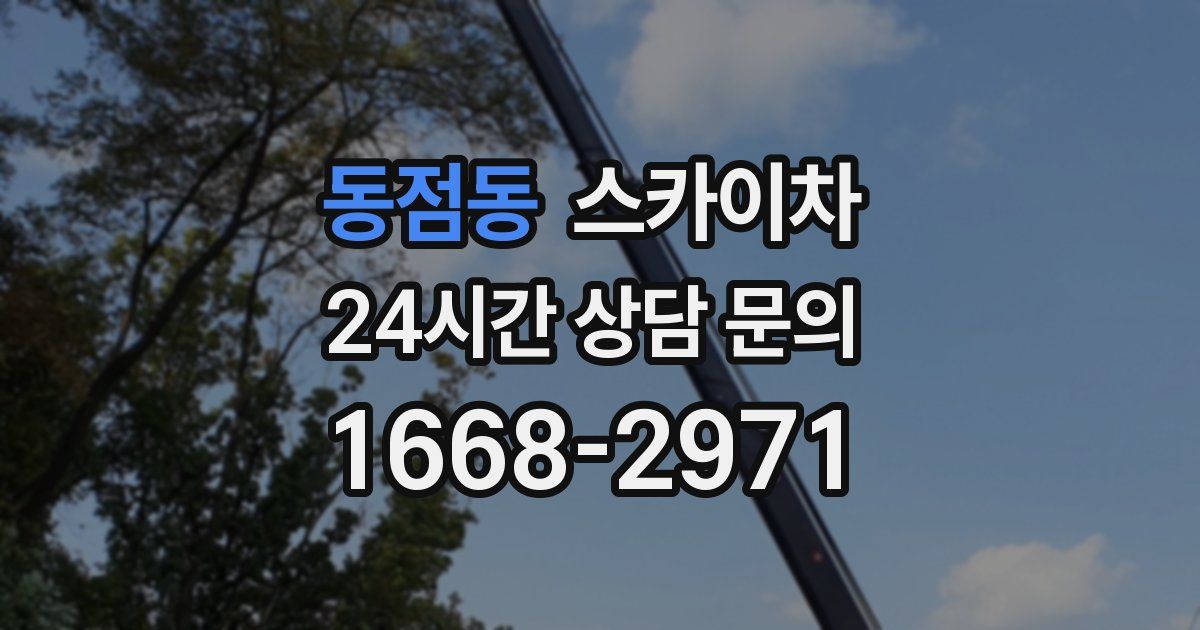 동점동 스카이차