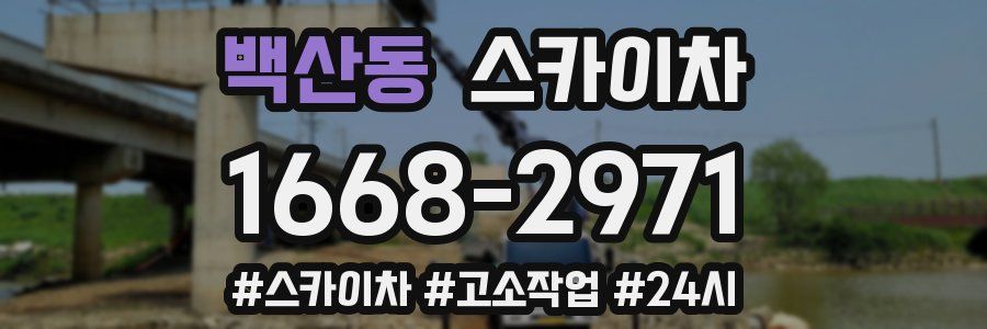 백산동 스카이차