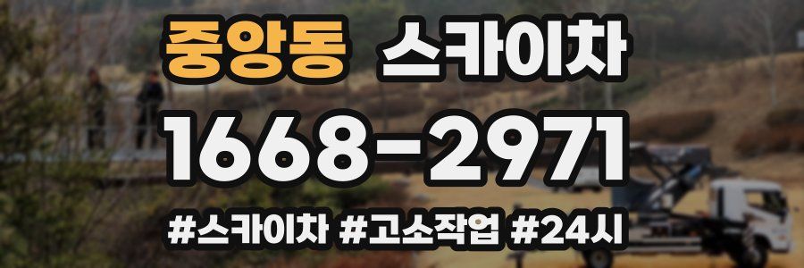 중앙동 스카이차