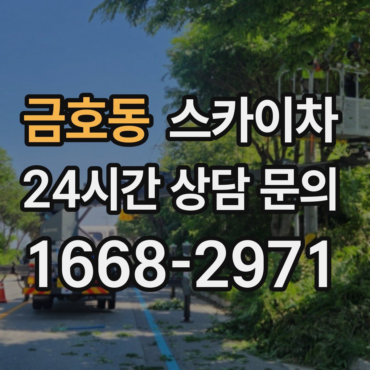 금호동 스카이차