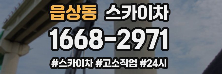 읍상동 스카이차