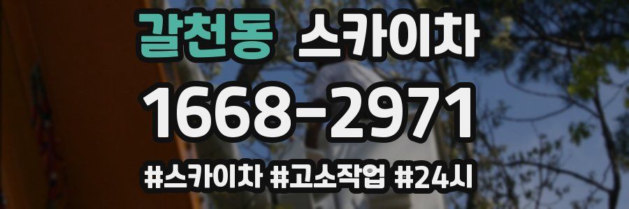 갈천동 스카이차