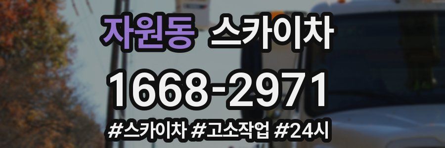 자원동 스카이차