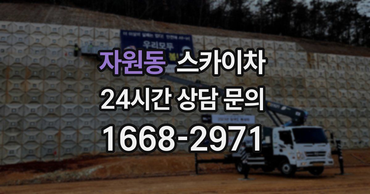 자원동 스카이차