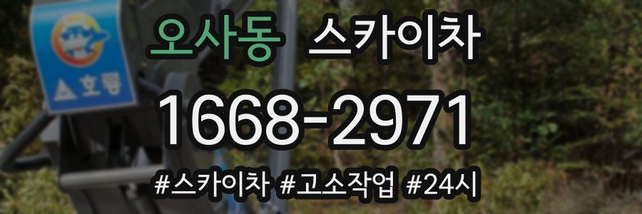 오사동 스카이차