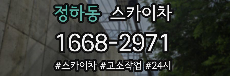 정하동 스카이차