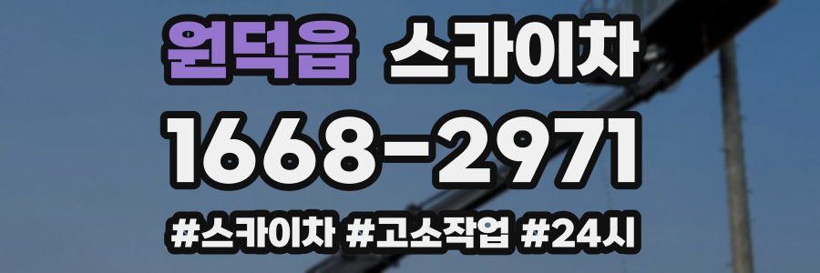 원덕읍 스카이차