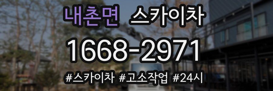 내촌면 스카이차