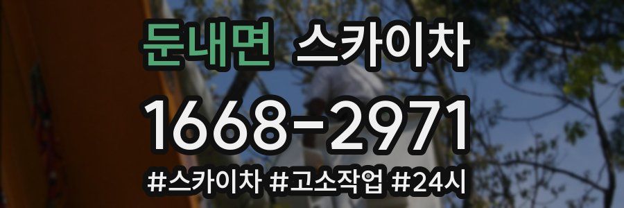 둔내면 스카이차