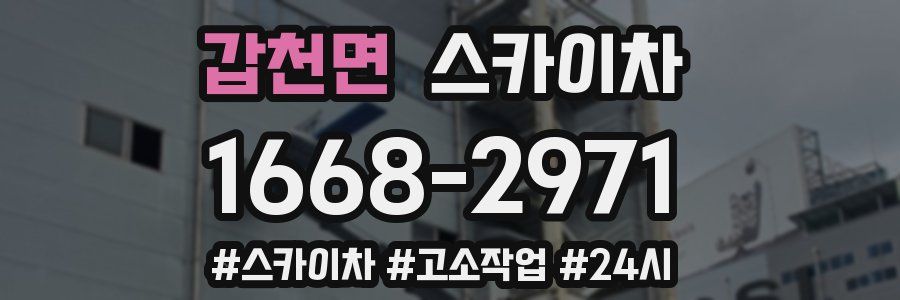 갑천면 스카이차